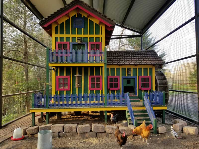 Custom built chicken coop